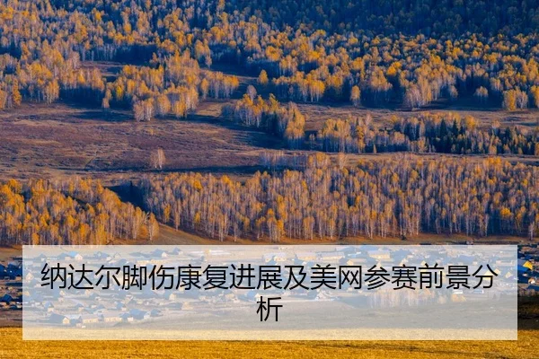 na-da-er-jiao-shang-kang-fu-jin-zhan-ji-mei-wang-can-sai-qian-jing-fen-xi-2-593.jpg